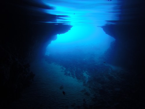 DCIM100GOPROGOPR2598.