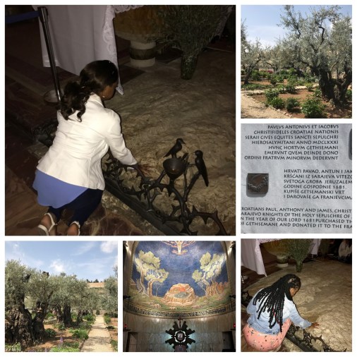 3ce0d36537e54176a927e5ba0d1ca27a